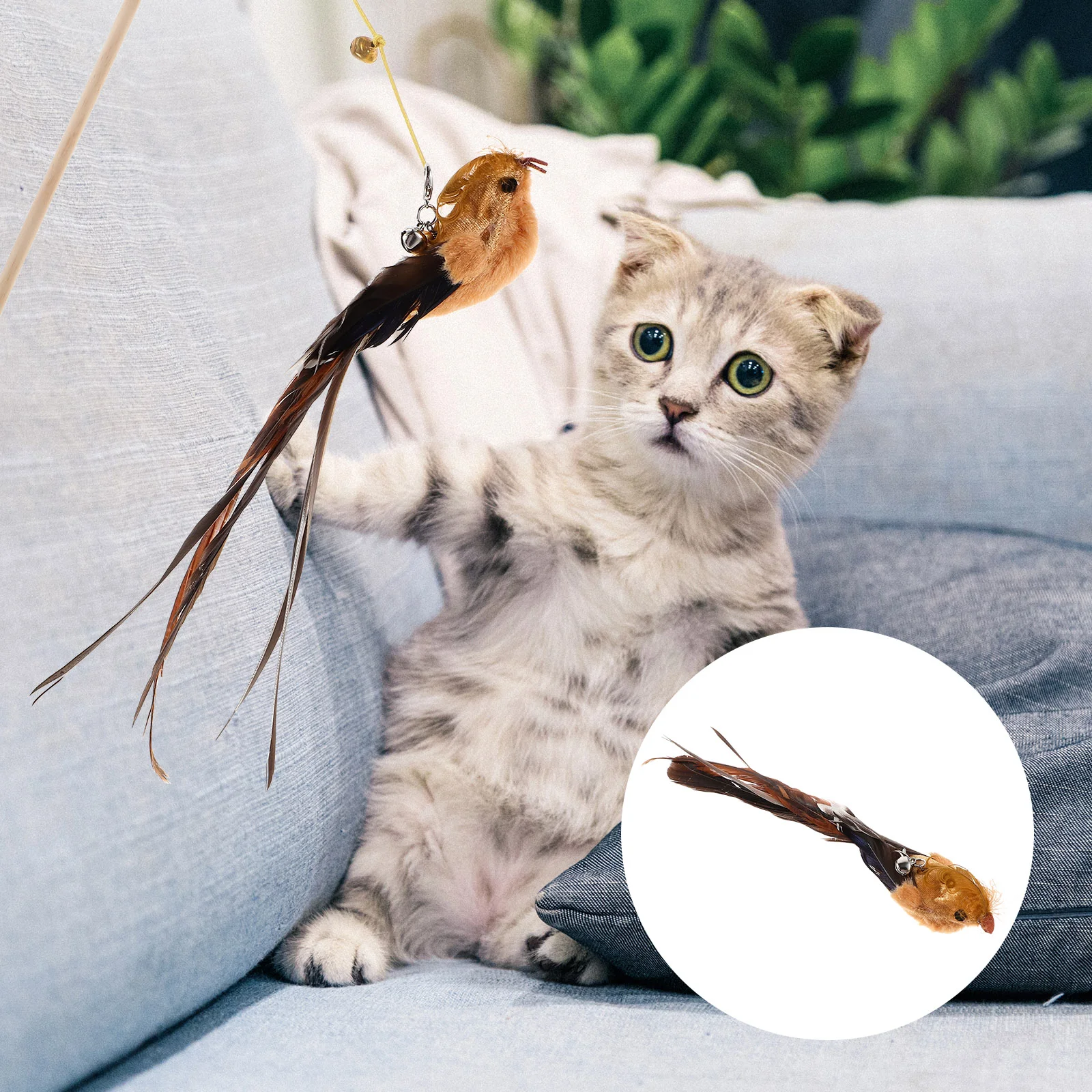 

Cat Wand Refill Attachments Bird Cat Stick Toys Replace Cat Wand Toy Bird Feathers Interactive Cat Teaser Toys Kitten