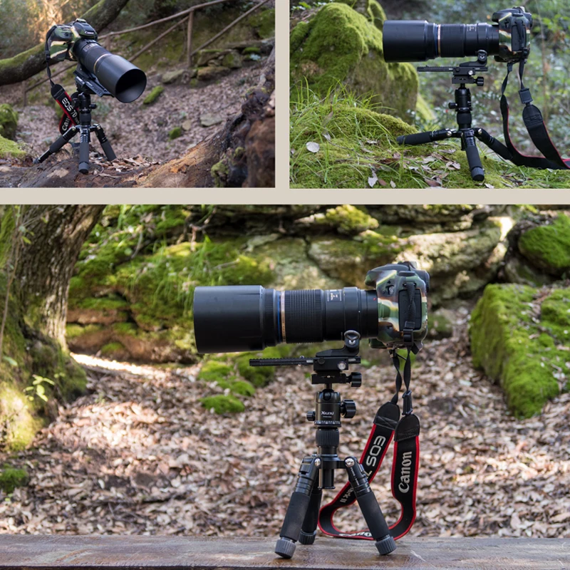 Slide image 57c7de1747a94864851425e05632be6f