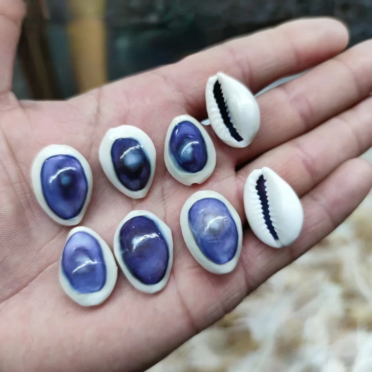 Natural Sea Shells 2-2.5cm/20pcs Blue-eyed Conch Aquarium Beach Scene Decoration Photography Specimen Creative DIY Jewelry natural shell ornaments