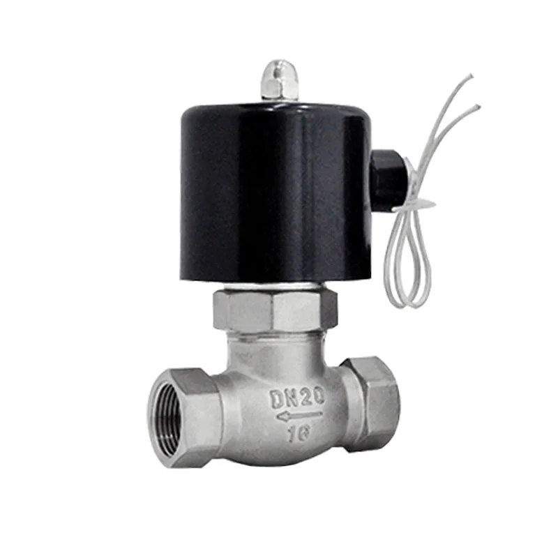 Elettrovalvola A Vapore Normalmente Chiusa Da 3/4 "24V 12V 220V 110V Elettrovalvole In Acciaio Inossidabile