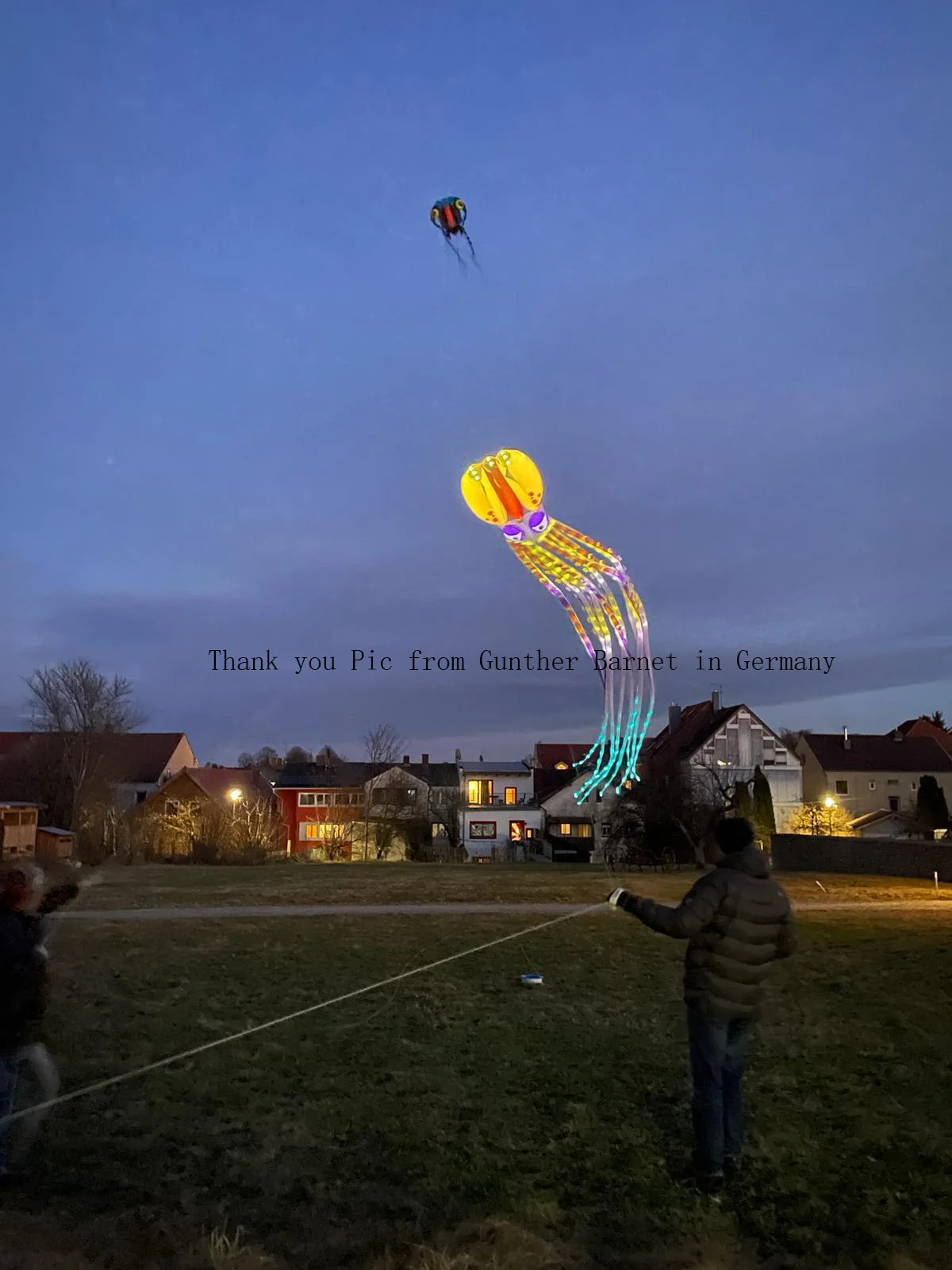 Show kite 18m LED soft octopus big inflatable kite flying kites with lights for adult with battery 30D Ripstop Polyester Fabric 2