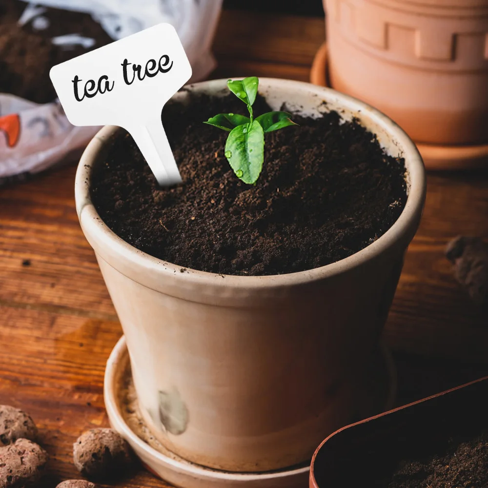 100Db T-Típusú Növényi Címkék Vízálló Újrafelhasználható Kerti Növények Osztályozási Jel Óvoda Virág Edények Címké - Image 2