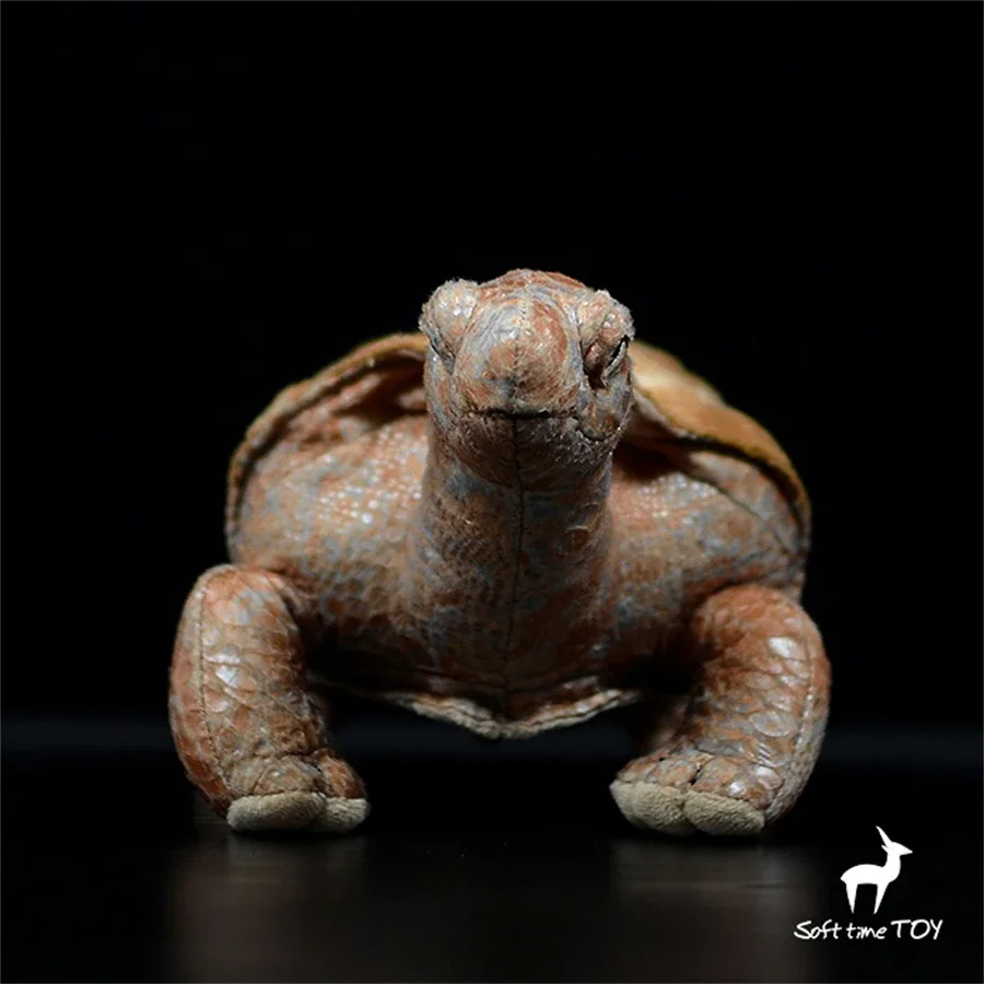 Galapagos Tortoise High Fidelity Anime Cute Plushie Turtles Plush Toys Lifelike Animals Simulation Stuffed Doll Kawai Toy Gifts 3