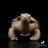 Galapagos Tortoise High Fidelity Anime Cute Plushie Turtles Plush Toys Lifelike Animals Simulation Stuffed Doll Kawai Toy Gifts 3