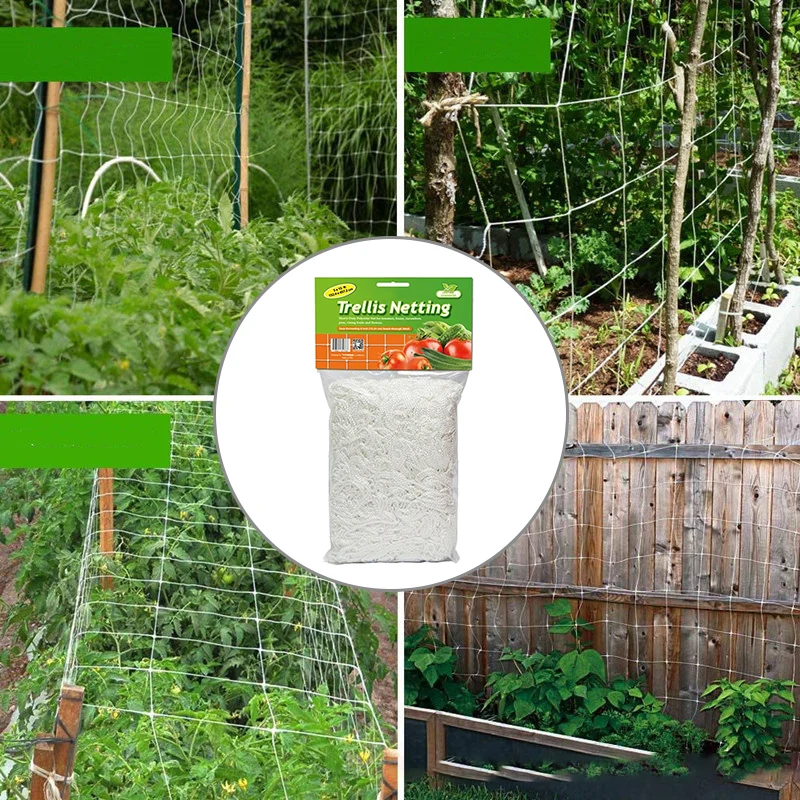 

Nylon Mesh Horticulture Plant Crawl Net Vine Grow Holder Crawl Gardening Network Cauliflower Garden Plant Shelf Net
