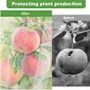 Garden Insect Plant Netting Cover with Zipper H in-Shape Bag for Protecting Plant Fruits Flower From Insect Bird Eating 3