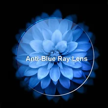 

BERTHA Prescription Photochromic Lens Blue Light Blocking Driving Lens Aspheric Myopia Hyperopia Presbyopia Optical Lens PLS06