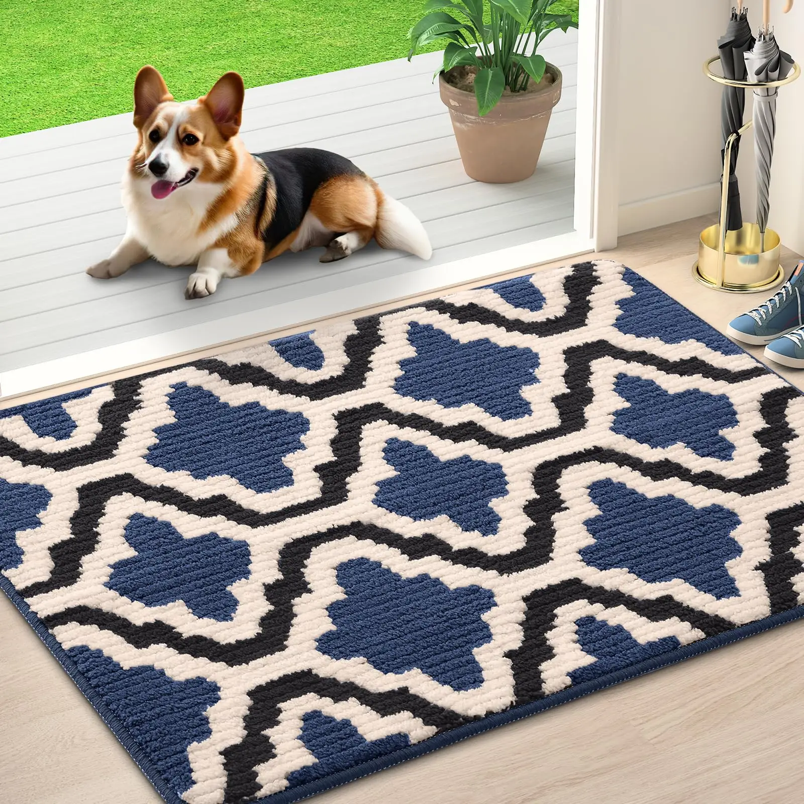 Kitinjoy Entrance Door Floor Mat Non-slip Soft Machine Washable Doormats Super Absorbent Baththroom Floor Mats Decoration Carpet