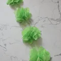 Fruit  green