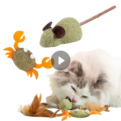 

Catnip Cats Grass Chew Toy To Remove Hair Ball Molar Rod Mouse Chicken Feather Edible Cat Toy Tooth Cleaning Pet Cat Accessories