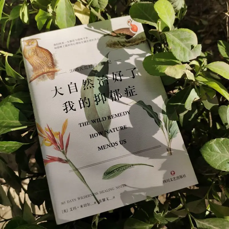 Рисунок 3 - Естественное восстановление моей депрессии