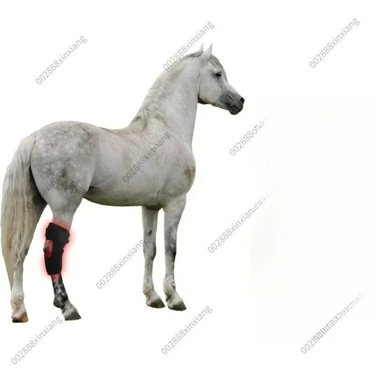 1개 적외선 애완동물 스포츠 상처 회복 말 뒷다리 무릎 휴대용 광선치료기