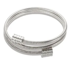 B1 Silver