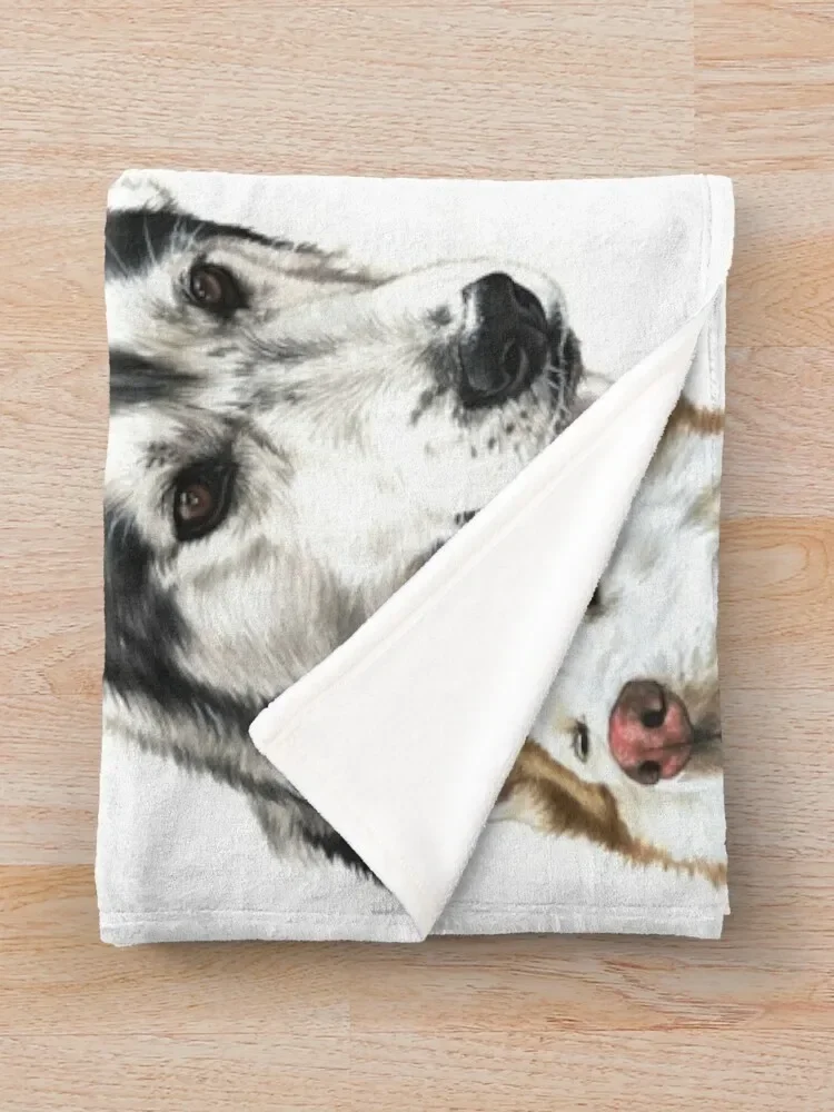 �㽺Ű �ݶ��� ������ ���, ķ�ο� �Ϳ��� ���� ���� ���, ħ�� ���