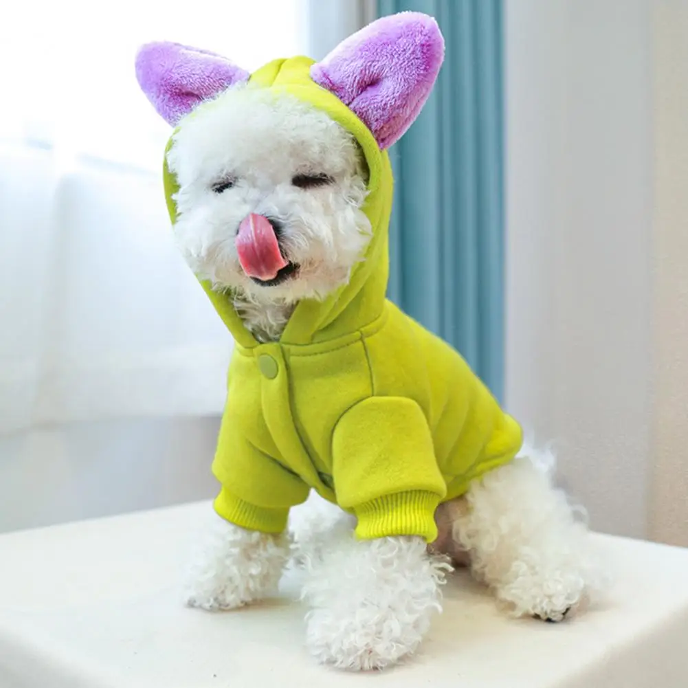 스타일리시 고양이 후드, 반려동물 후드, 긴팔 가디건, 데일리 착용, 가을 맨투맨