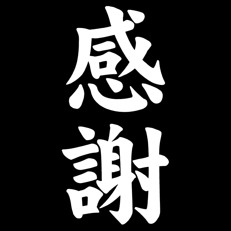 

JPzs - Various sizes of interesting Chinese characters' thank you 'style vinyl sticker for cars. White/black five colors 24.5cm