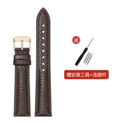 Luxurious Genuine Leather Watch Strap Accessory with Tool - 20mm (Dark brown rose)