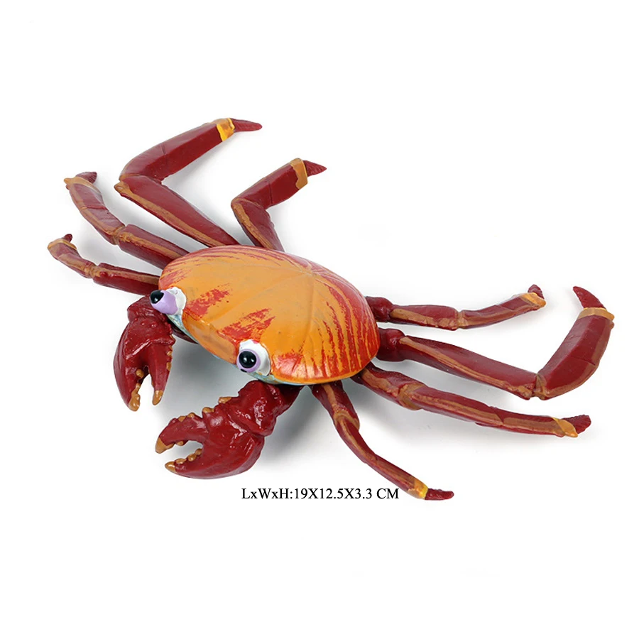 Realistische Ozean Tiere Einsiedlerkrebs Kokosnuss Krabbe Fiddler Krabbe Meer Leben Modell Action-figuren Meerestiere Spielzeug Für Home Decorati – Detail 32