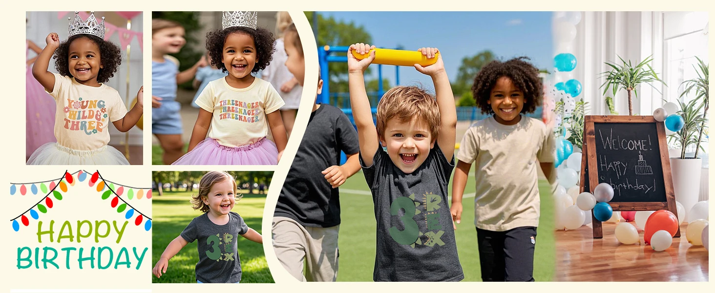 3rd Birthday Shirt, Threenager Toddler Shirt, Third Birthday Toddler Tee