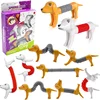 1- 4Pcs Novelty Spring Dog Pop Tubes Sensory Toy Stress Relieve Bellows Toys For Adult Kids Anti-stress Squeeze Toys Gifts 1