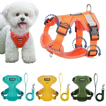 4-point Adjustment Dog Harness and Leash Set