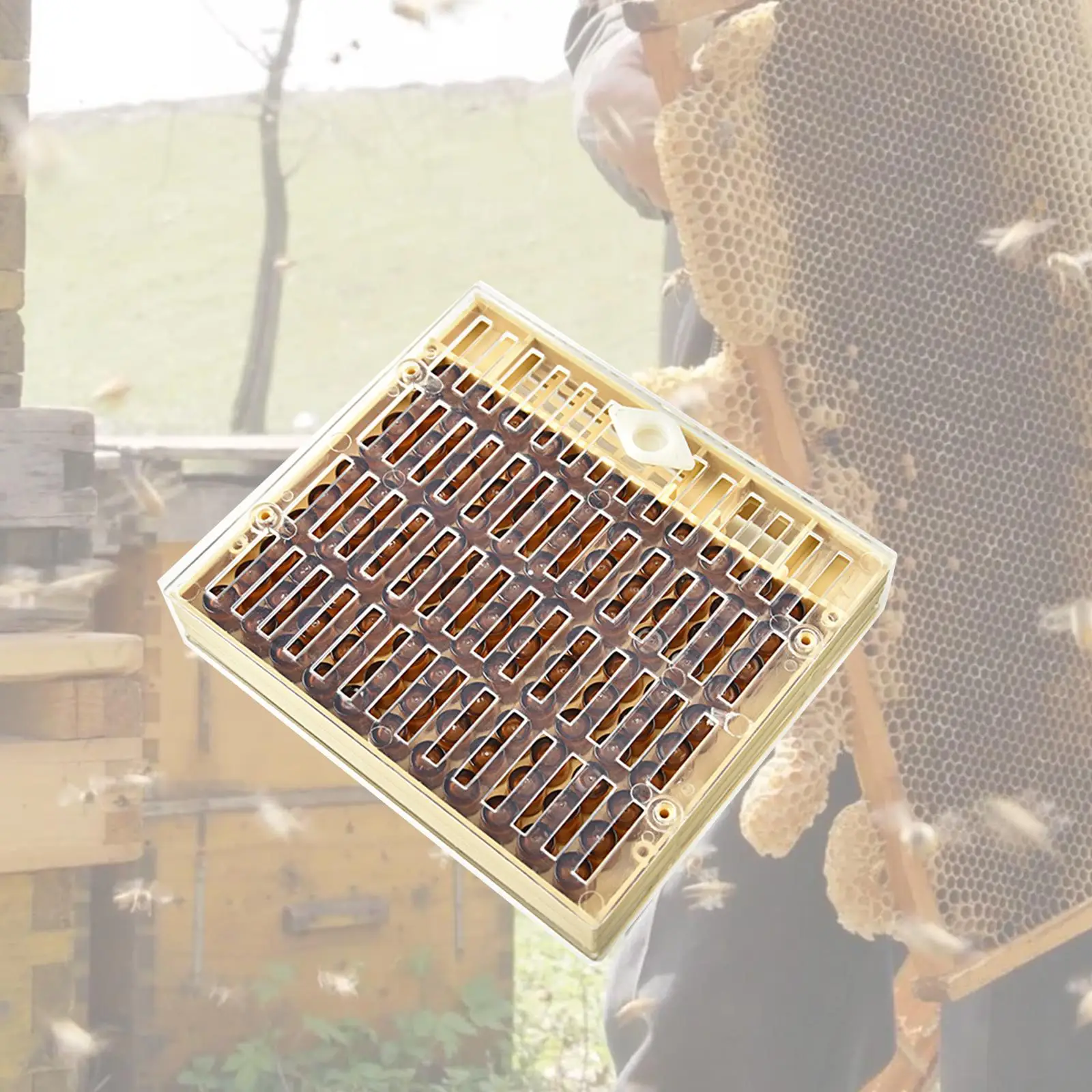 Beekeeping Rearing Box Apiculture Breeding Box Safe Beekeeping Queen Bee Rearing Grafting Set Beehive Bee for Beekeepers