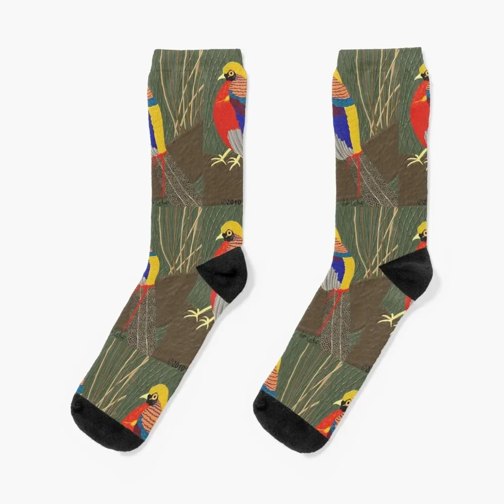

Golden Pheasant Socks warm winter cycling Socks For Man Women's