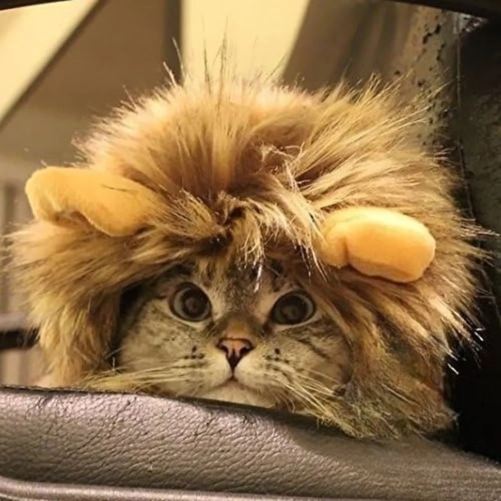 Lion Mane Pet Costume 4