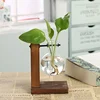 Replacement Vases Glass Bottle Accessories Home Decor  Vases Hydroponics Flower Transparent Glass Container 2