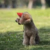 Adjustable Pet Dog Travel Cute Baseball Hat Sun Cap Visor Hat with Ear Holes Outdoor Sport Pet Supplies 4