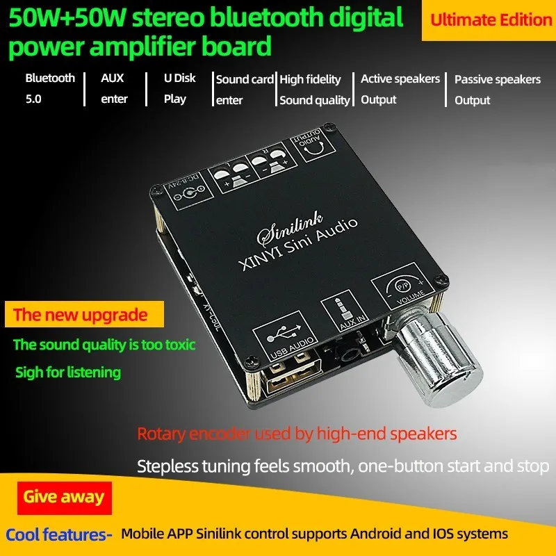 Placa amplificadora de potencia Digital 50Wx2 C50L AP3050D Bluetooth