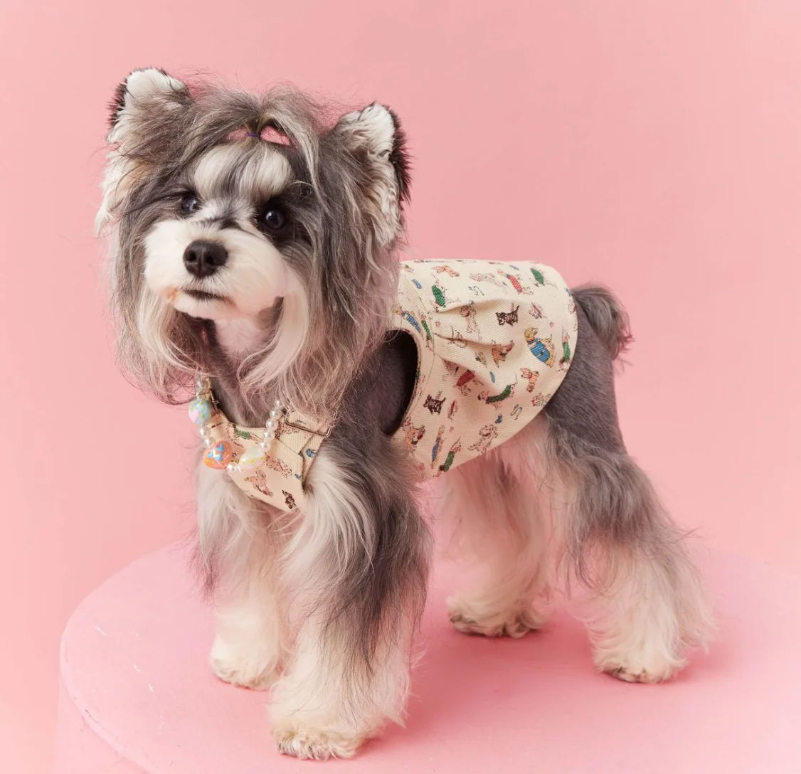 Sleeveless Cowboy Vest for Dogs, Tony Bears Dog Tank Top, Teddy, Schnauzer Bears, Marquis, Love, Spring, Summer, New