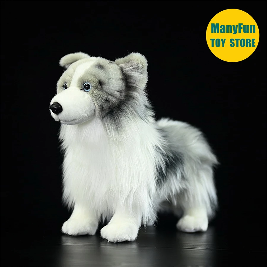 S3e5a2f8cda0749e7bc707897adaa8250j - Border Collie Gifts