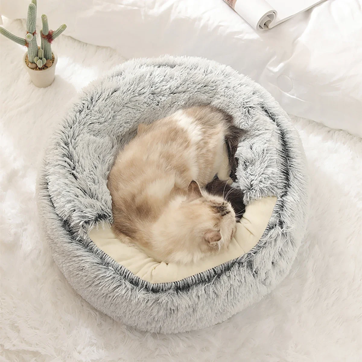 pet bed 4