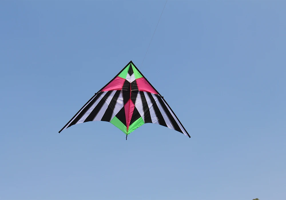 Outdoor Fun Sports New Arrive 2.5m Colorful Triangle Kites  With Handle & Line Good Flying 4