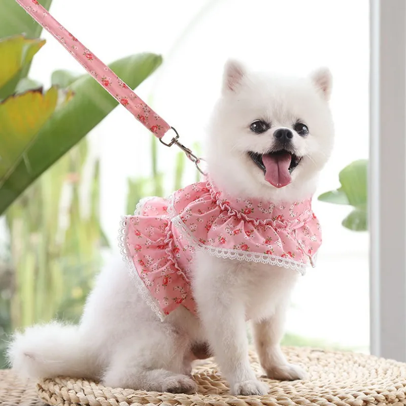 Pet Harness Leash Set Daisy Floral For Small Dogs Cats