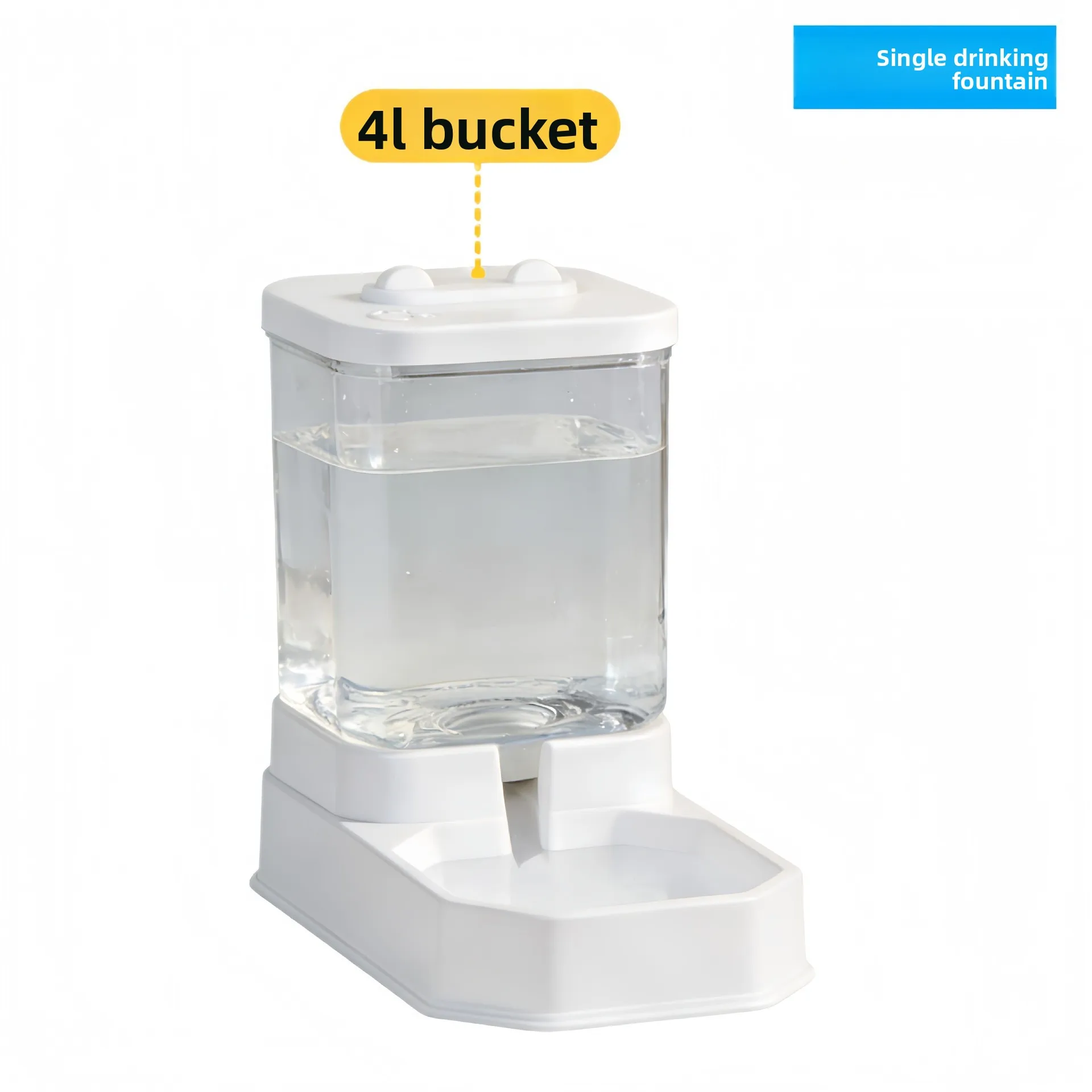 water dispenser