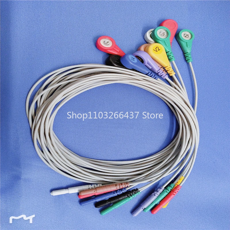 

Compatible with 10 lead wires for Kangtai Century 2000/3000 Altimeter dynamic electrocardiogram machine