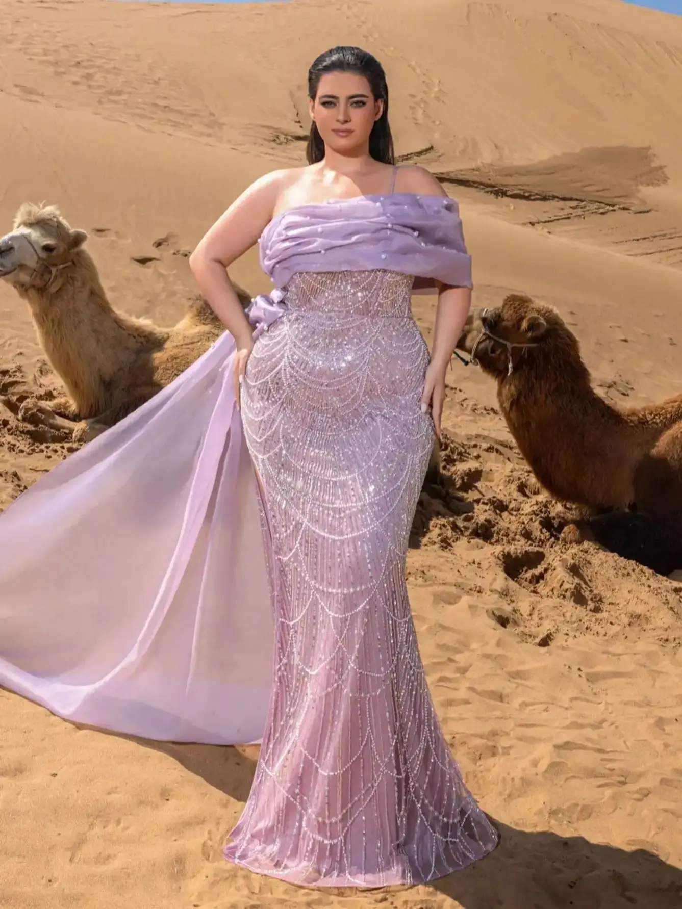 فساتين سهرة حورية البحر مطرزة بمقاس كبير مع خط عنق...