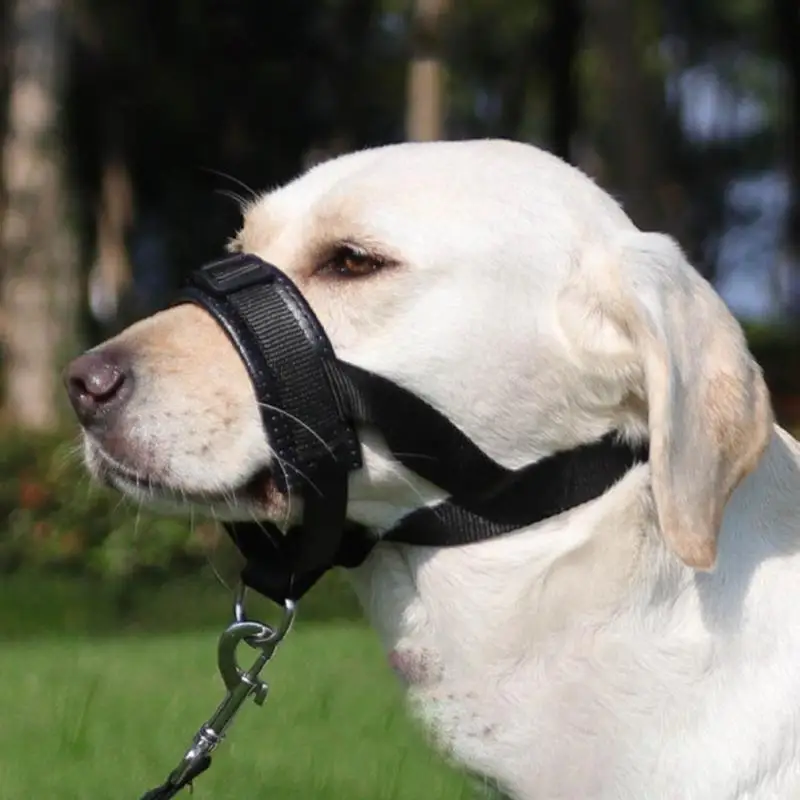 Adjustable No Barking Muzzle Dog Mouth Guard Breathable Pet Mouth Muzzles Medium Large Dogs Anti-biting Pet Supplies Soft Muzzle