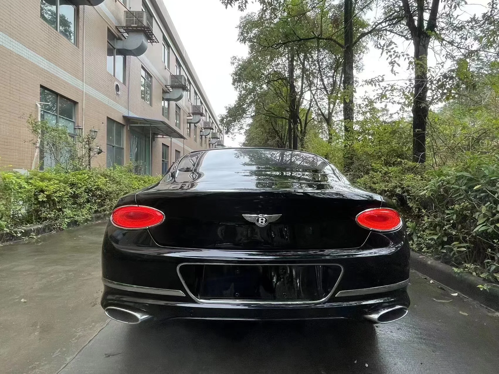 Рисунок 6 - Для Bentley Continental GT Body