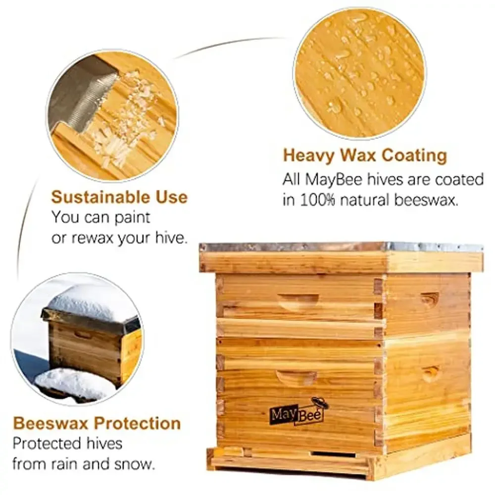 8 Frame Beehive Starter Kit with Durable Cedarwood Beehive Super Easy Installation Beginners Honey Bee Hives Includes 1 Deep Box