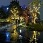 S3e629465508b4a0f904f173e1f9d9526y.jpg