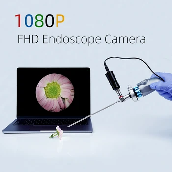 Telecamera Endoscopica Portatile FHD per Chirurgia Veterinaria, Isteroscopia, Artroscopia, Cistoscopia e Diagnosi Endoscopica