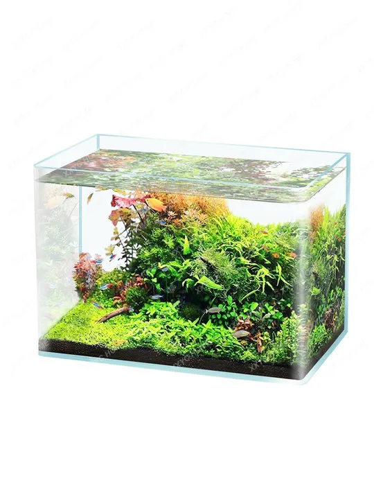 

Glass Hot Curved Fish Tank Desktop Small Aquarium Living Room Aquatic Plants Landscape Fish Ecological Turtle Bare Tank