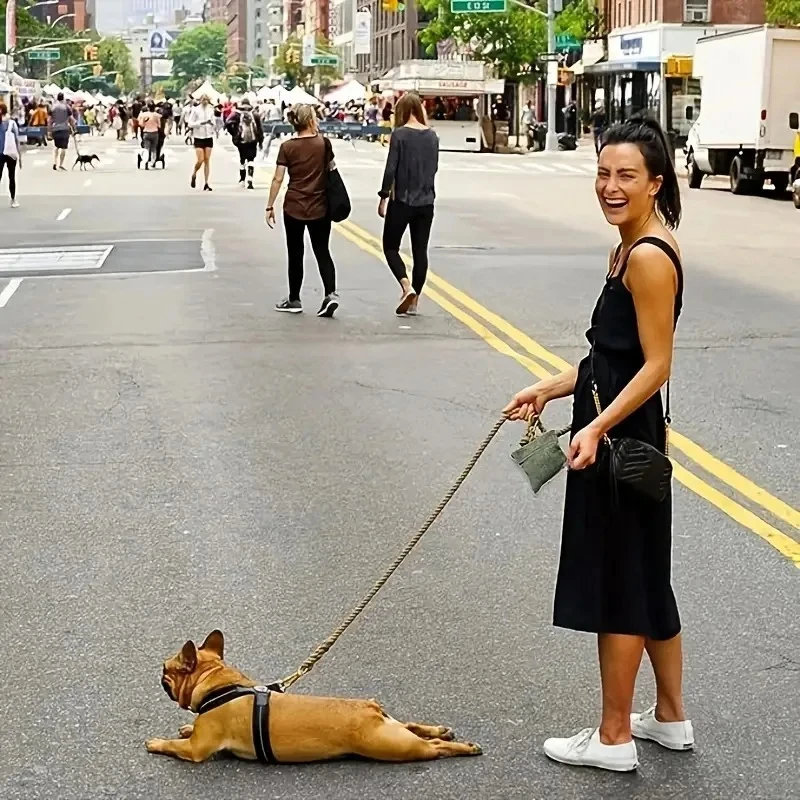 Dog walking bag walking dog snack pocket with carabiner hands free pet treat bag waist pack storage pouch dog puppy training bag food reward
