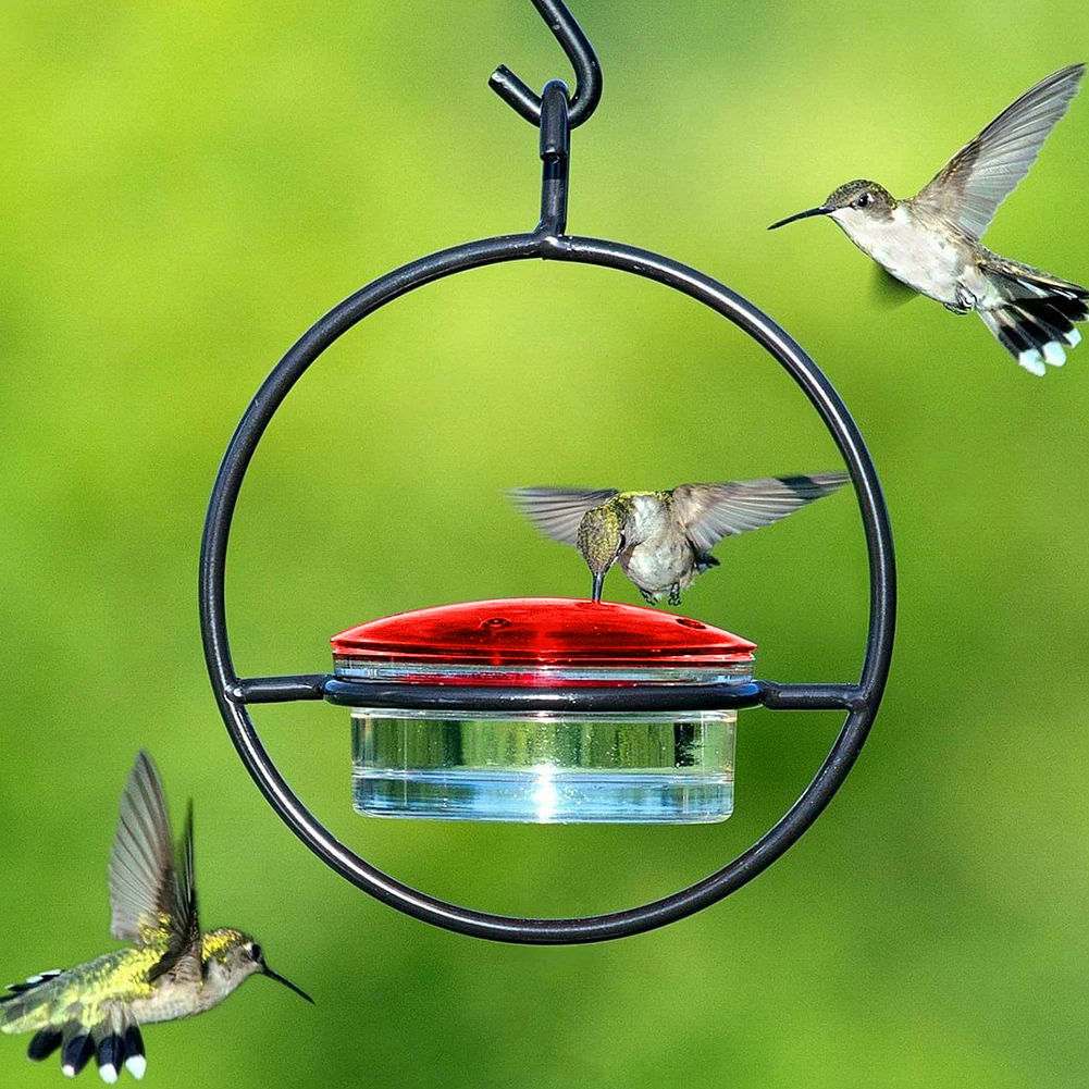 Ant-Proof Hummingbird Feeder 2