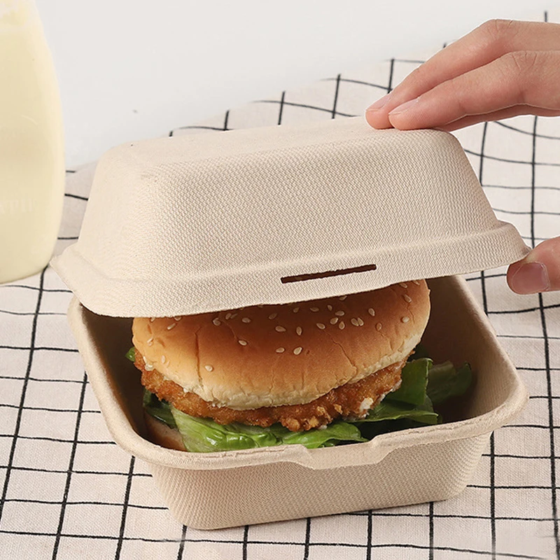 Disposable Lunch Box Fruit Hamburger Cake Dessert Pulp Cake Packaging Food Box Eco-Friendly Bento Bakery Container 10/20Pcs