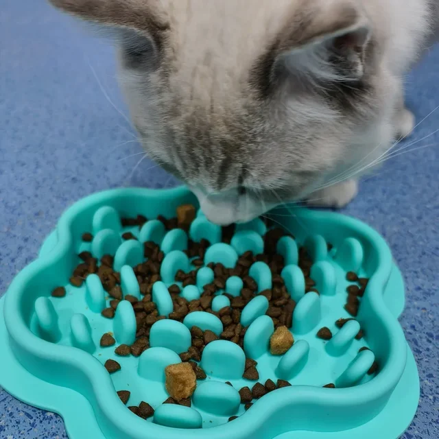 Pet cat and dog gluttony bowl dog slow food cat and dog bowl edible silicone bowl slow food mat anti-knock over neck plate 3
