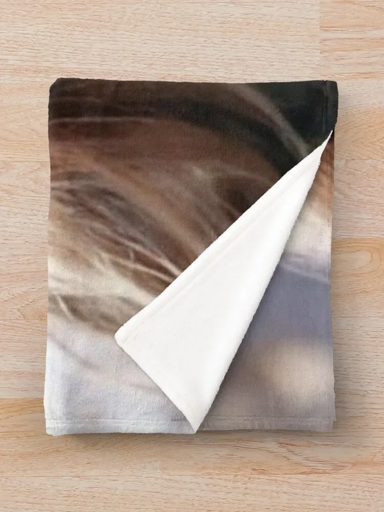  �����̽�Ʈ ������ ���, �Ϳ��� ���� ���� ���, ����ִ� ����, ��� ���